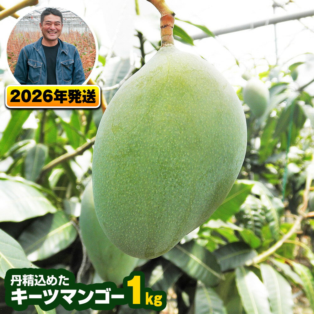 【2026年発送】南風原農園　丹精込めた「キーツマンゴー」1kg