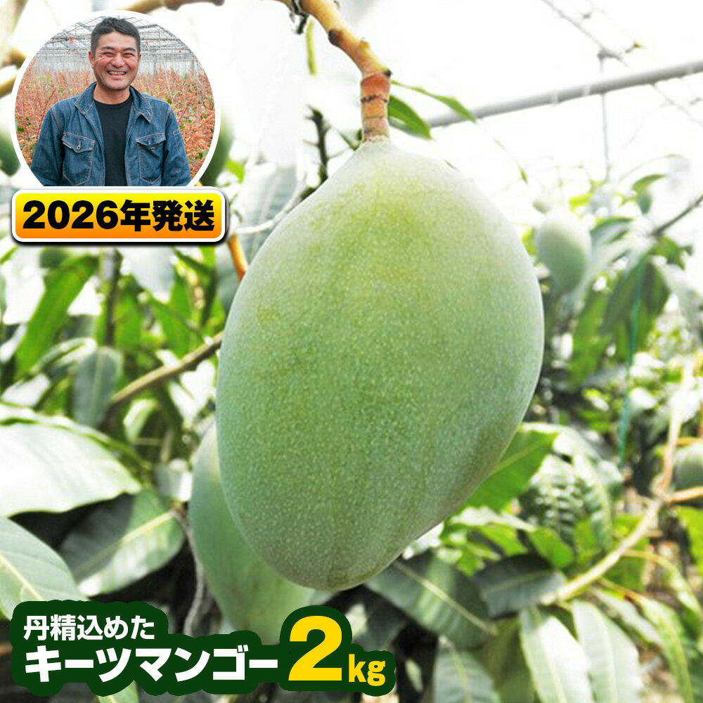 【2026年発送】南風原農園　丹精込めた「キーツマンゴー」2kg