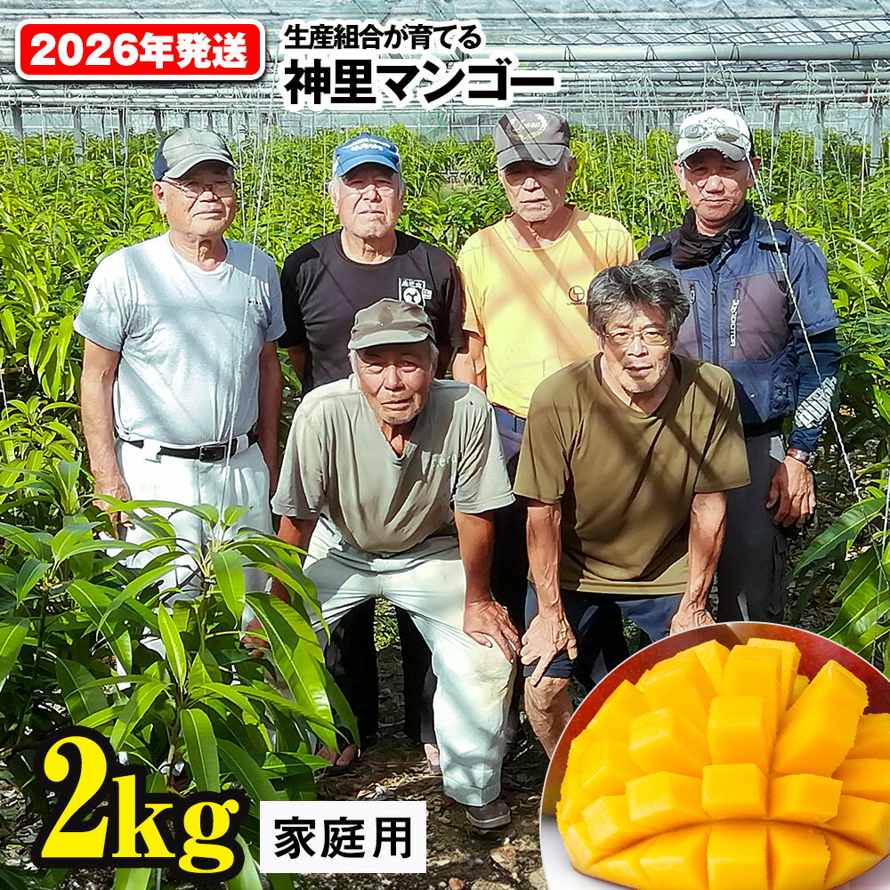 【2026年発送】生産組合が育てる神里のマンゴー2kg　家庭用