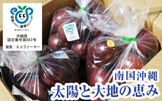 【ふるさと納税】【2026年発送】パッションフルーツ3kg　家庭用 サムネイル2