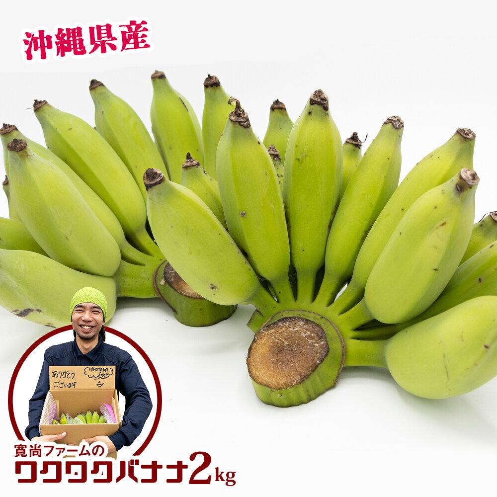 【沖縄県産】寛尚ファームのワクワクバナナ　2kg
