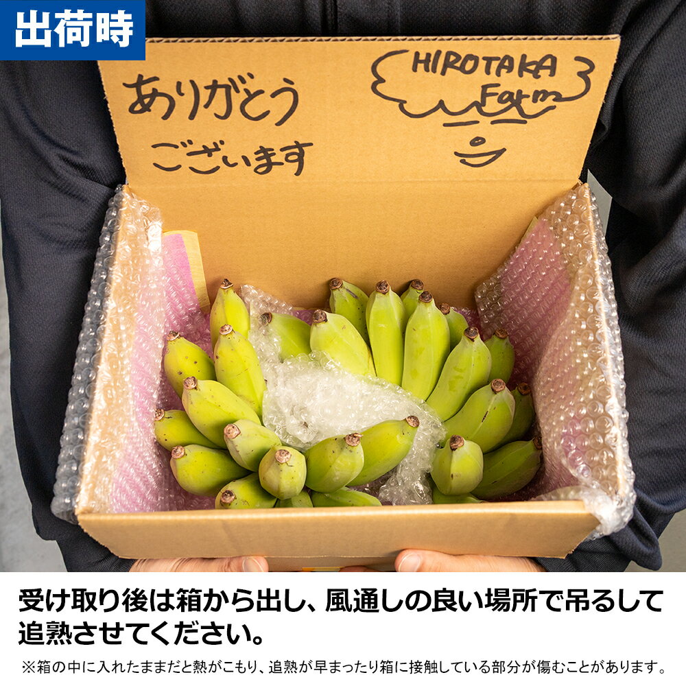 【ふるさと納税】【沖縄県産】寛尚ファームのワクワクバナナ　2kg サムネイル3