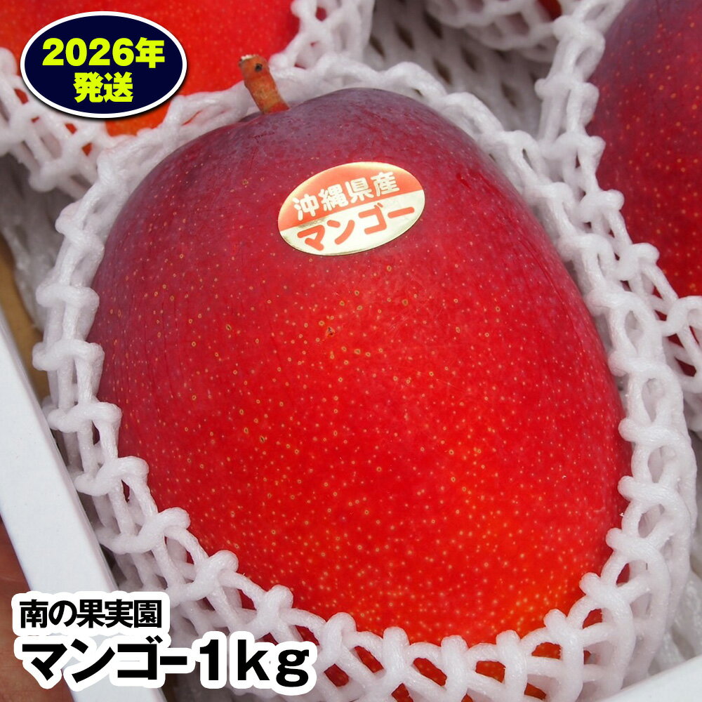 【2026年発送】南の果実園　マンゴー1kg