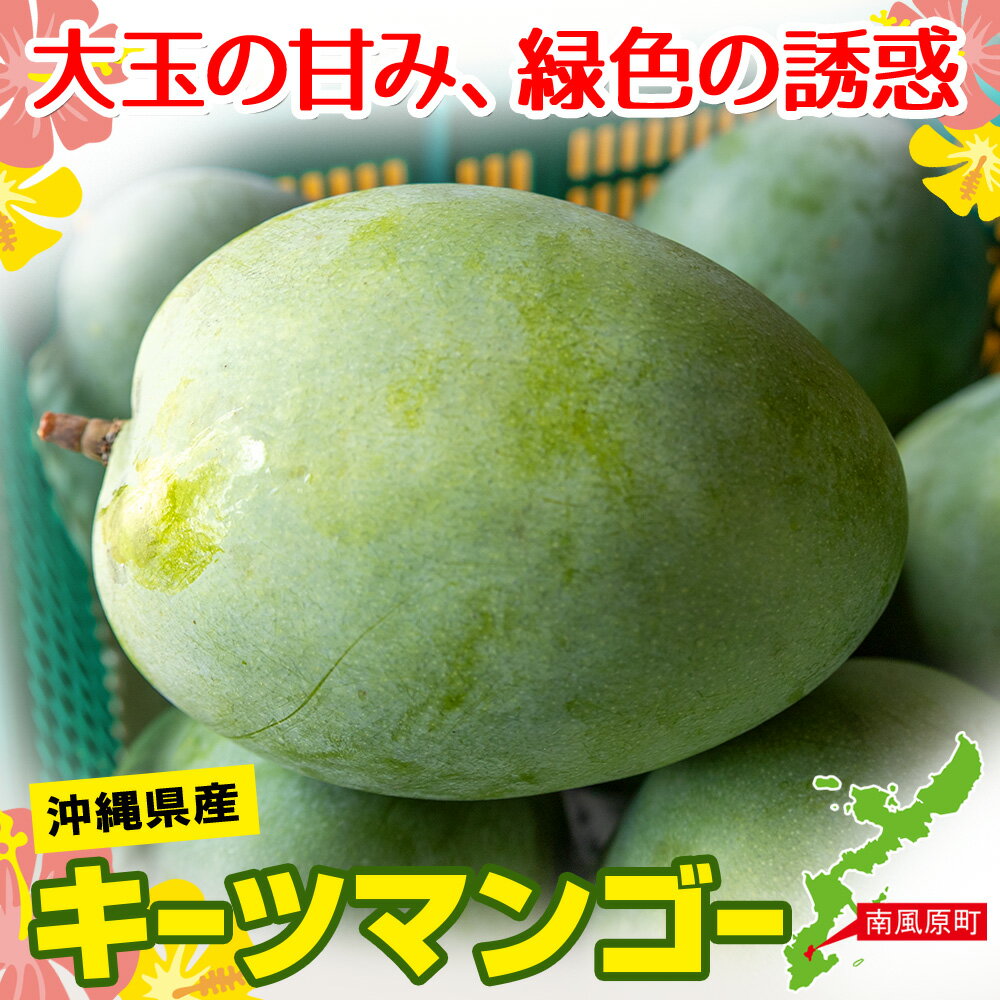 【ふるさと納税】【2026年発送】南国の果物　沖縄県産マンゴー　キーツ　1kg - 画像3