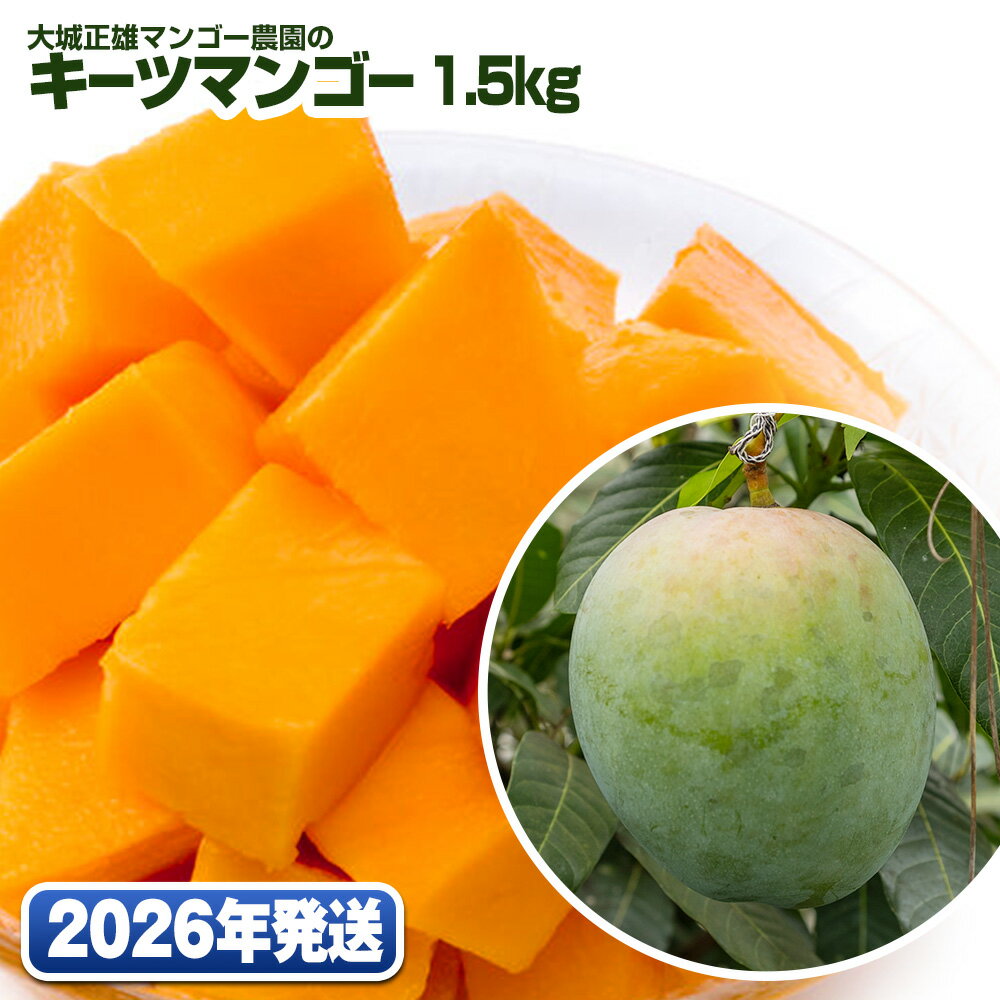 【2026年発送】大城正雄マンゴー農園のキーツマンゴー1.5kg