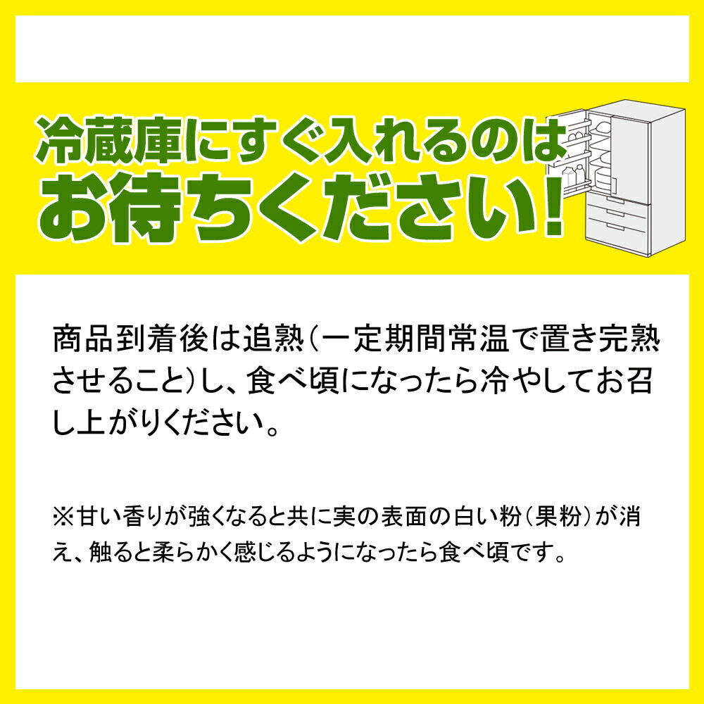 【ふるさと納税】【2026年発送】大城正雄マンゴー農園のキーツマンゴー1.5kg サムネイル3