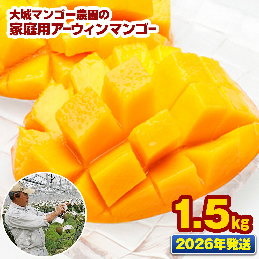 【2026年発送】大城マンゴー農園の家庭用アーウィンマンゴー1.5kg