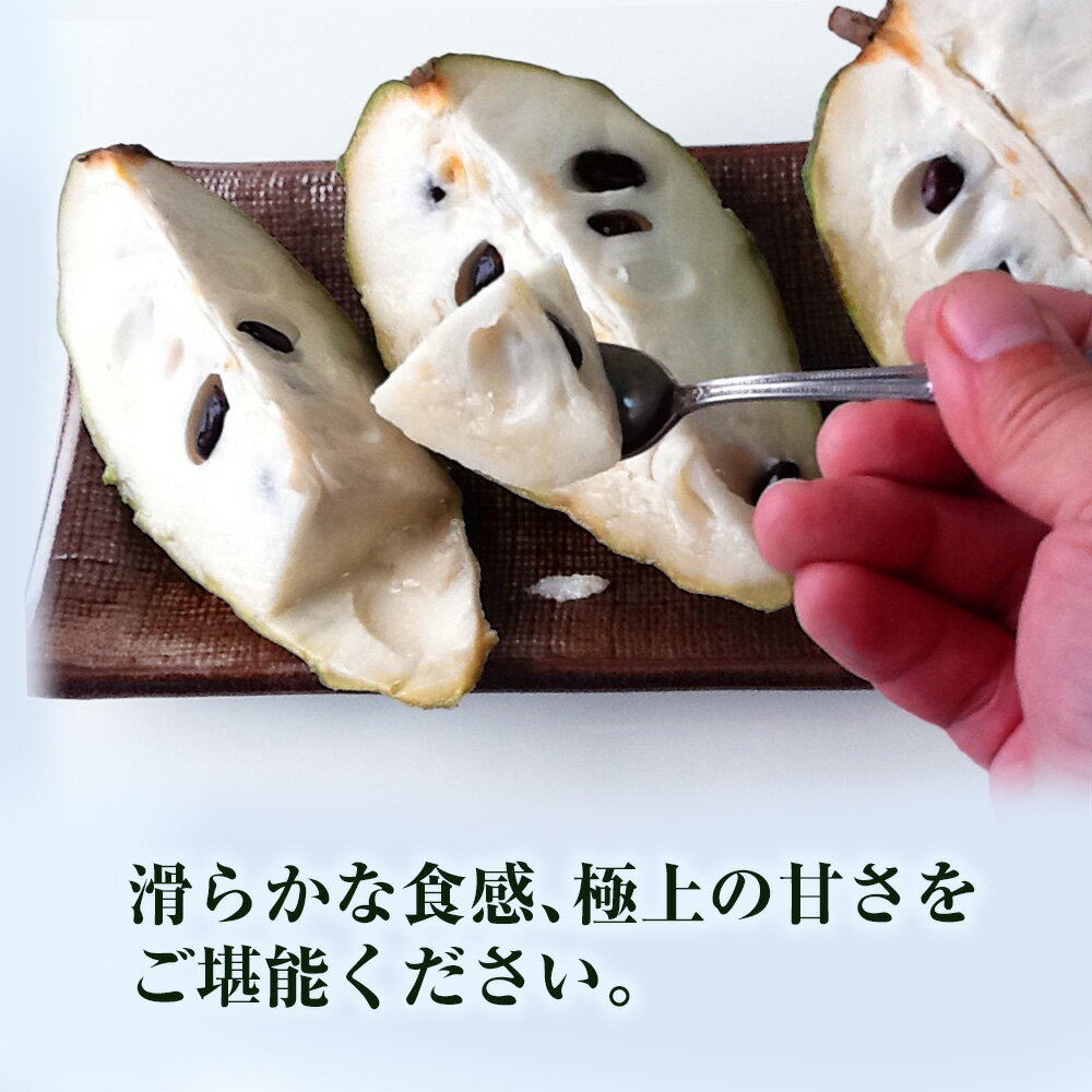 【ふるさと納税】【2025年12月中旬から順次発送】アテモヤ 1kg “森のアイスクリーム”とも呼ばれる希少なフルーツ サムネイル3