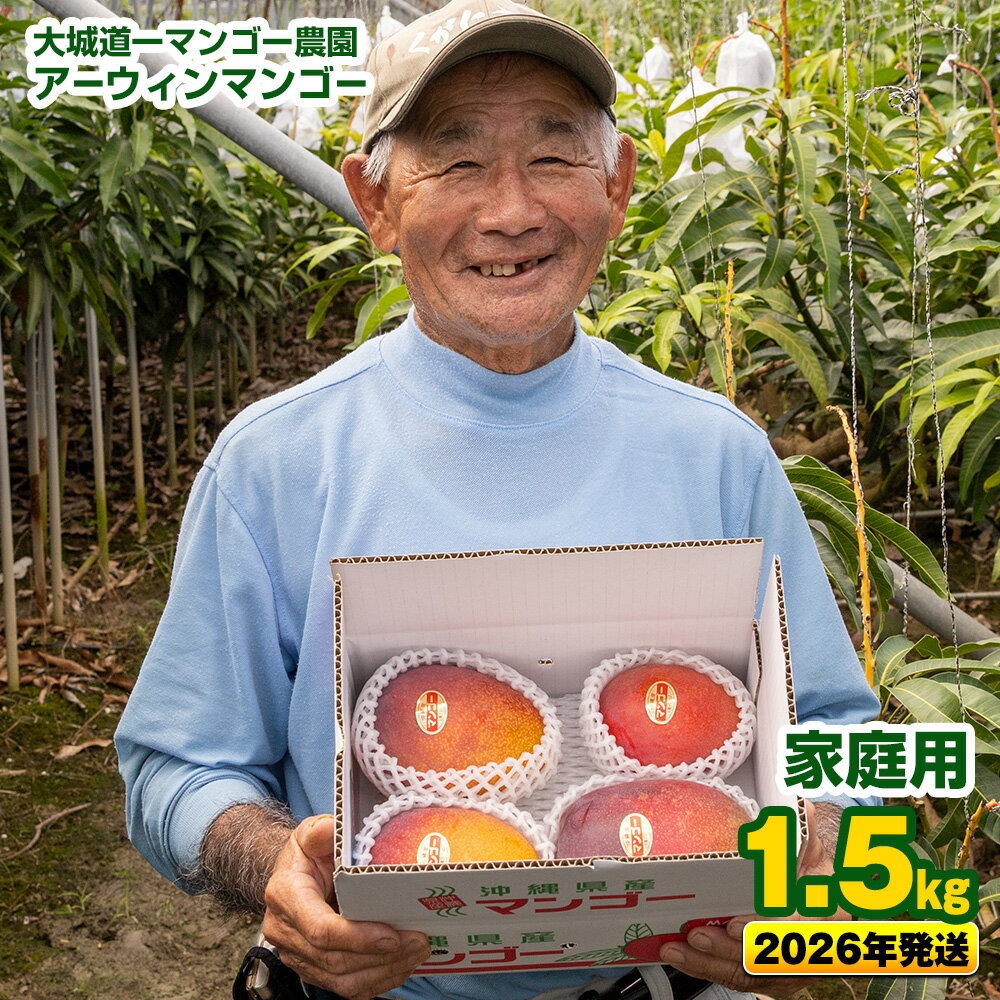 【2026年発送】大城道一マンゴー農園のアーウィンマンゴー1.5kg（家庭用）
