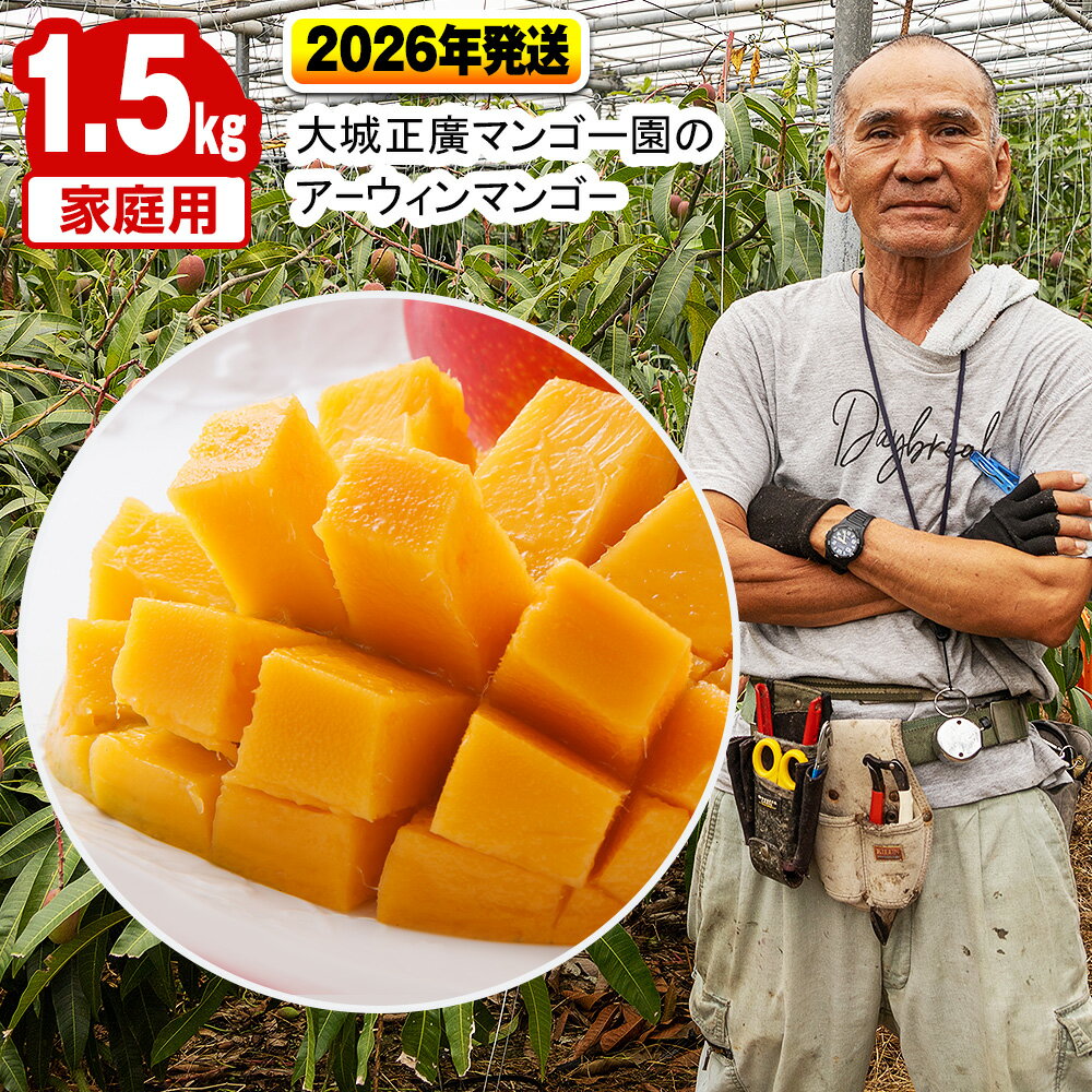 【2026年発送】大城正廣マンゴー園のアーウィンマンゴー（家庭用）1.5kg
