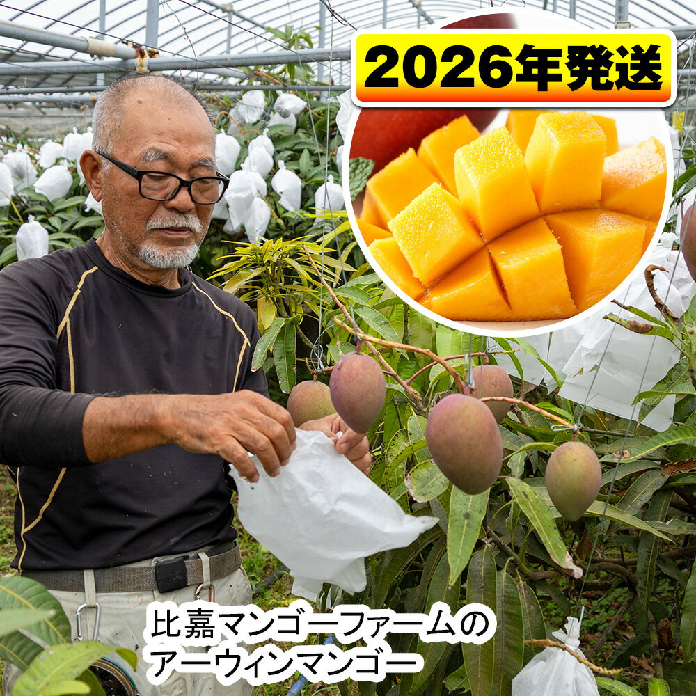 【2026年発送】比嘉マンゴーファームのアーウィンマンゴー　家庭用1.5kg