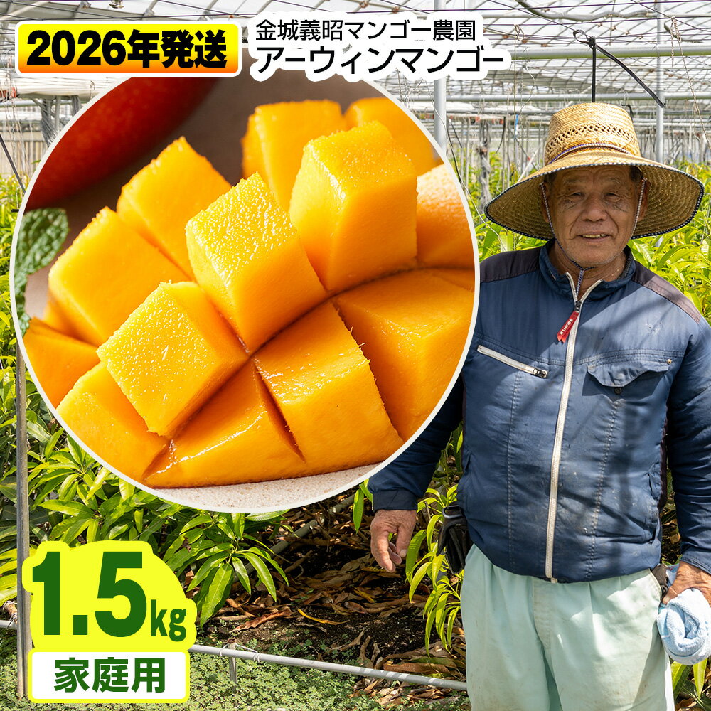 【2026年発送】金城義昭マンゴー農園　アーウィンマンゴー家庭用1.5kg