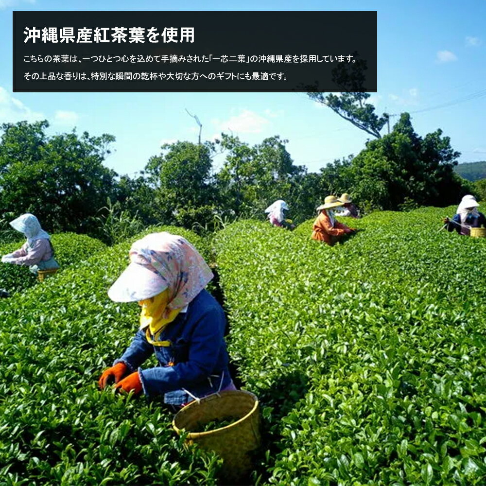 【ふるさと納税】【琉球泡盛】瑞泉酒造　宵の紅茶　500ml×2本　12%　アールグレイ香る泡盛紅茶リキュール サムネイル3