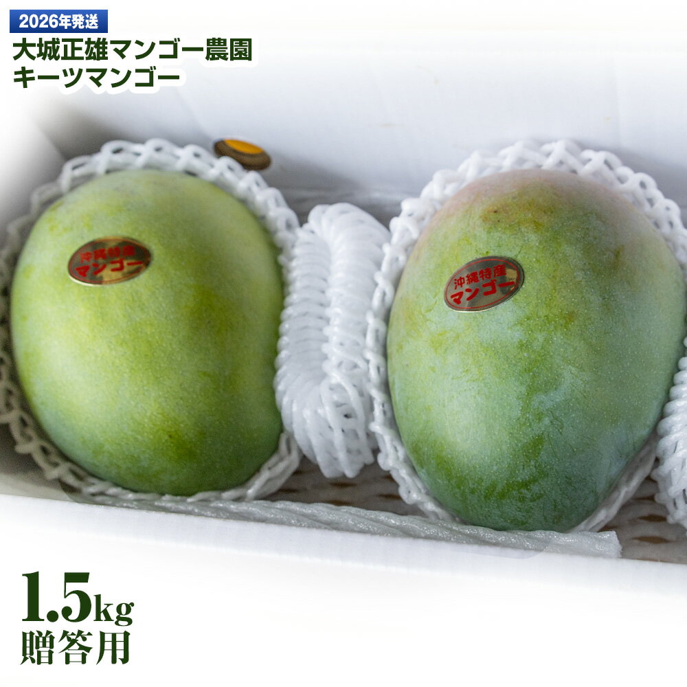 【2026年発送】大城正雄マンゴー農園　キーツマンゴー　贈答用1.5kg