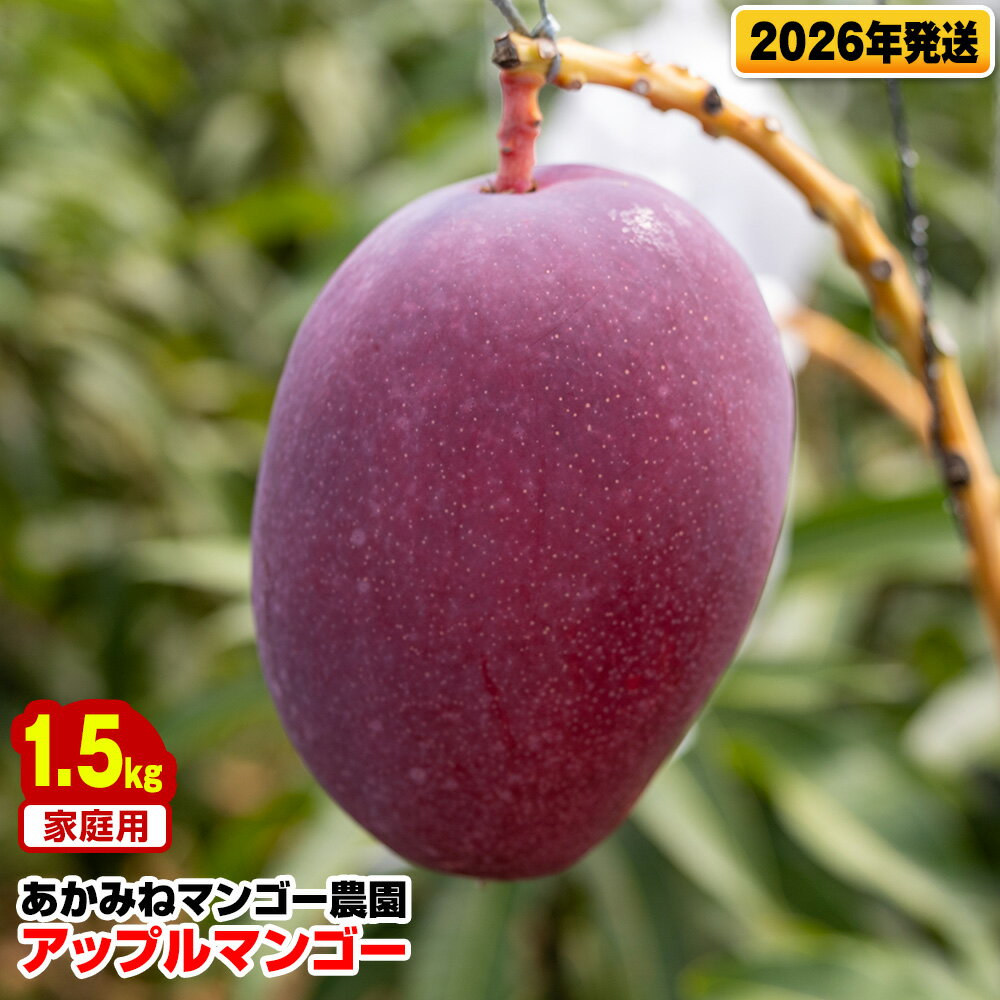 【2026年発送】あかみねマンゴー農園　家庭用アップルマンゴー1.5kg