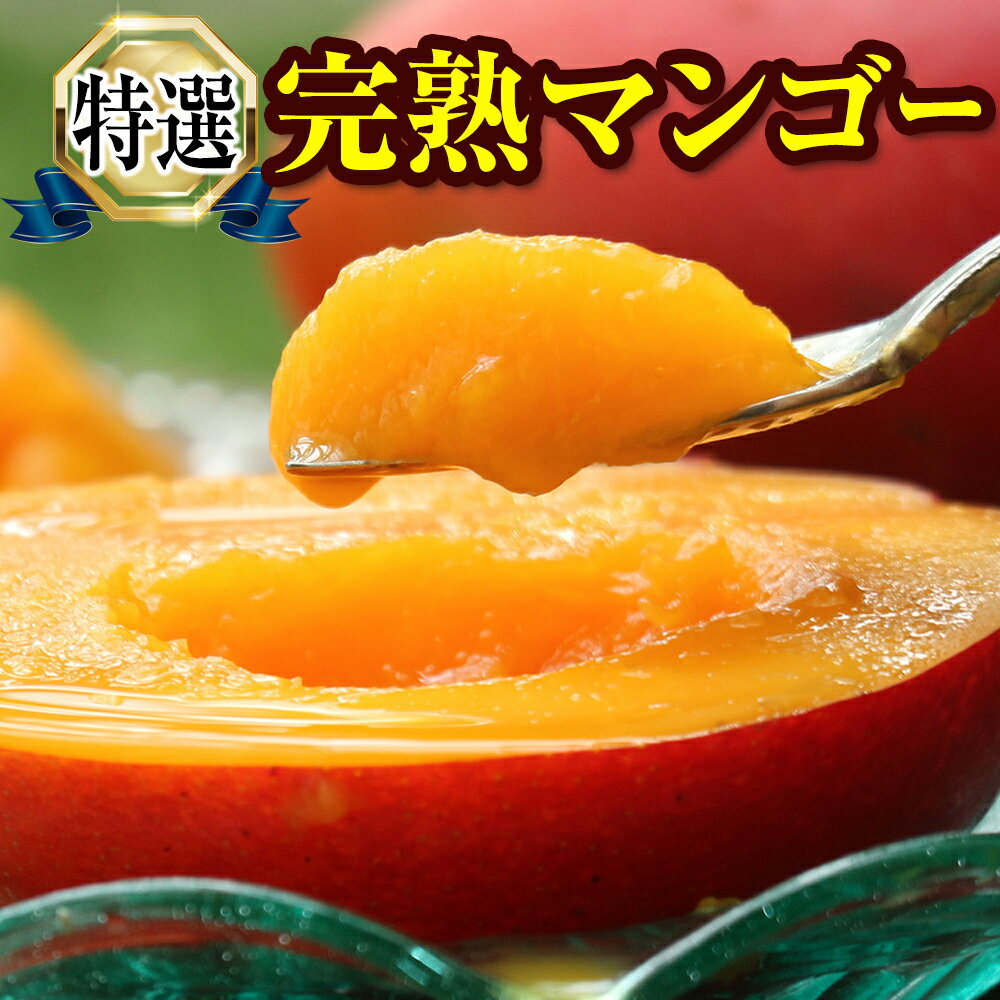 【ふるさと納税】【2026年発送】「特選」丹精込めた完熟マンゴー2kg以上　4玉 サムネイル3