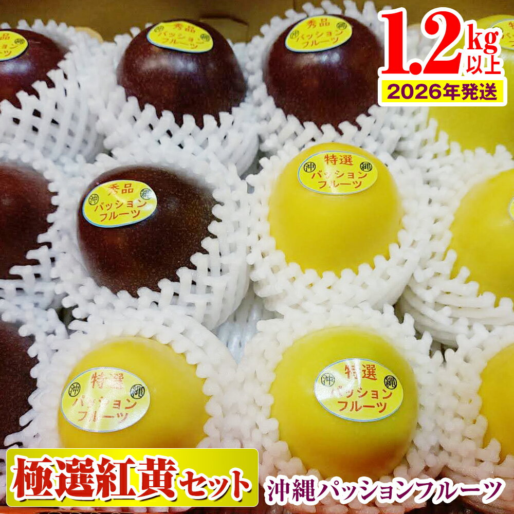 【2026年発送】沖縄パッションフルーツ　極選紅黄セット1.2kg以上