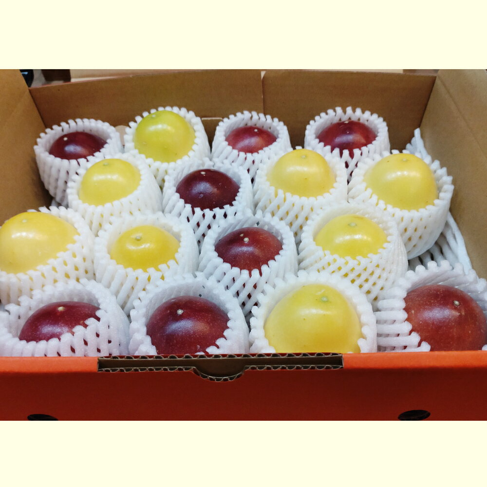 【ふるさと納税】【2026年発送】沖縄からの贈り物　美らパッションの宝石箱1kg サムネイル3