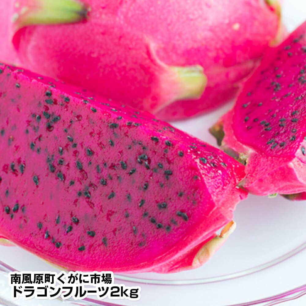 【2025年発送】南風原町くがに市場　ドラゴンフルーツ2kg