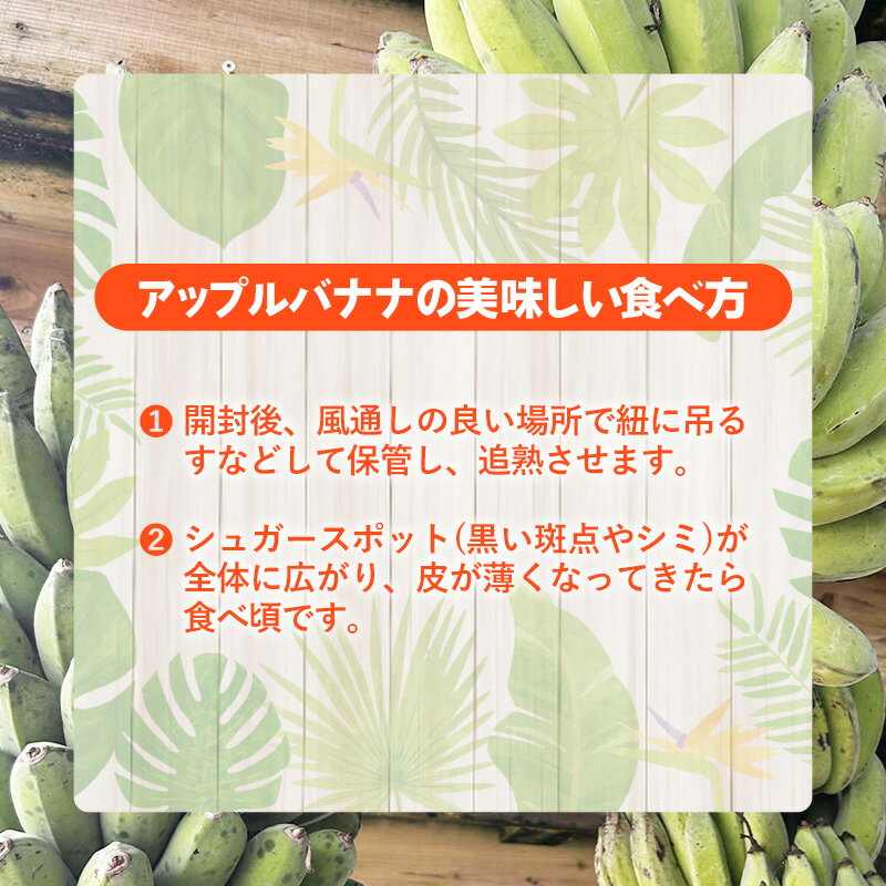【ふるさと納税】国産 希少種！南国フーズのアップルバナナ 約5kg - バナナ ばなな 小ぶり 沖縄県 産地直送 果物 フルーツ 南国 朝食 おすすめ 沖縄県 八重瀬町 サムネイル3