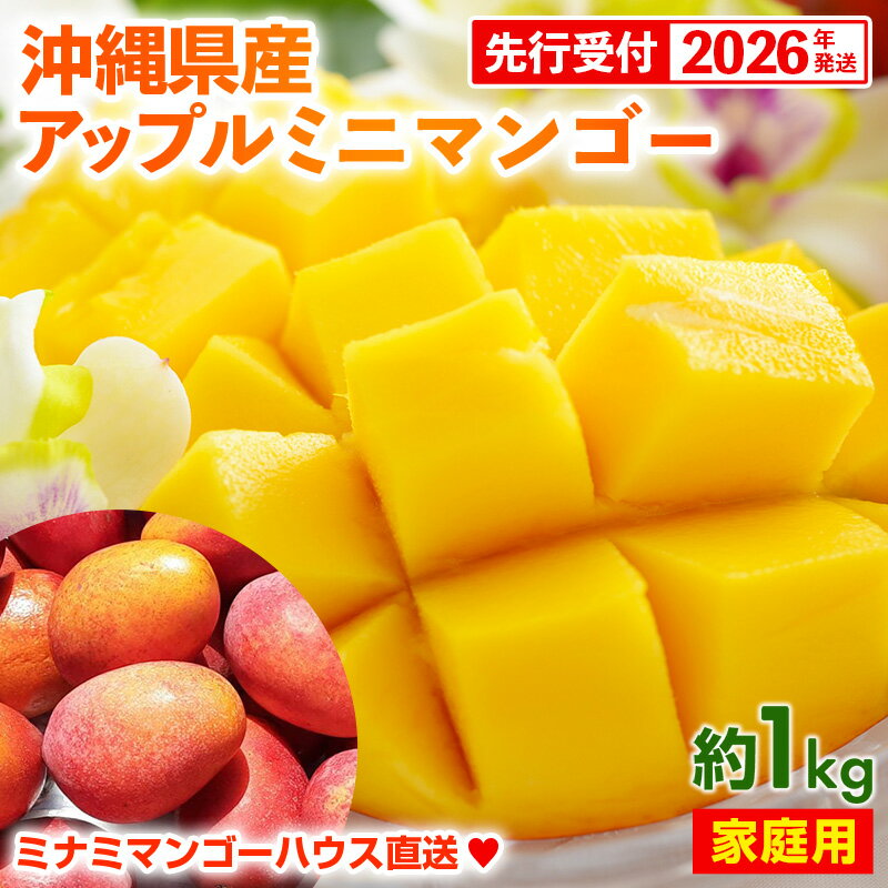 【先行受付】【2026年発送】ミナミマンゴーハウスのアップル ミニマンゴー約1kg【家庭用】- 先行予約 沖縄県産 産地直送 南国フルーツ 旬の味覚 アップルマンゴー ご自宅用 オススメ 沖縄県 八重瀬町