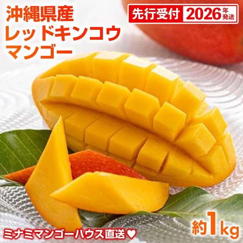 【先行受付】【2026年発送】ミナミマンゴーハウスの赤金煌(レッドキンコウ）マンゴー約1kg - 先行予約 沖縄県産 産地直送 南国フルーツ 旬の味覚 希少種 希少栽培 オススメ 沖縄県 八重瀬町