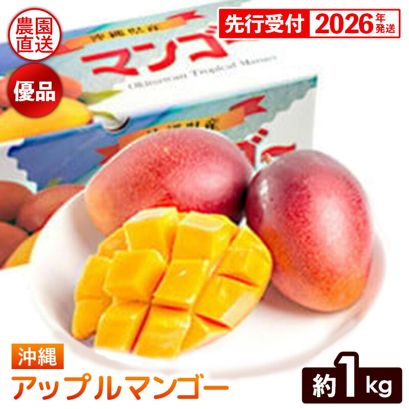 【化粧箱入】【先行受付・2026年発送】ヤマト農園 アップルマンゴー約1kg（優品）- 先行予約 沖縄県産 産地直送 南国フルーツ 旬の味覚 季節の果物 贈り物 ギフト 沖縄県 八重瀬町