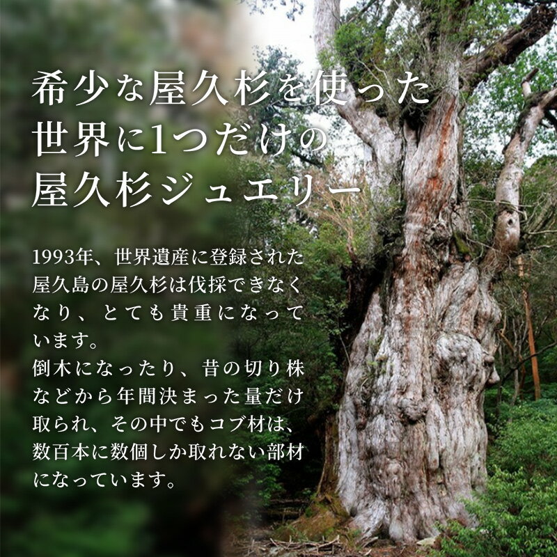 【ふるさと納税】【グレイン】屋久杉リング－細身タイプ －添（Sou）－ ホワイトゴールド - メンズ レディース 男性 女性 アクセサリー 贈り物 ギフト おしゃれ お揃い 指輪 木製品 一点物 人気 おすすめ 沖縄県 八重瀬町 サムネイル2