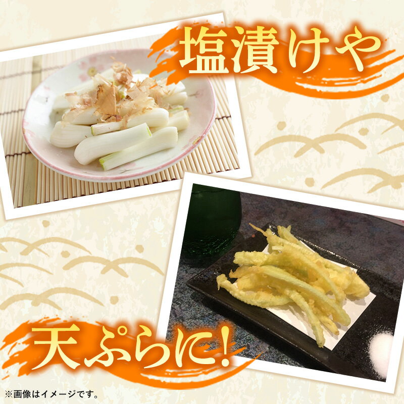 【ふるさと納税】新地農園 沖縄県産 島らっきょう 約2kg - 生らっきょう 国産 塩漬け 浅漬け 甘酢漬け 漬物 天ぷら チャンプルー 土付き おすすめ 送料無料 八重瀬町 - 画像3