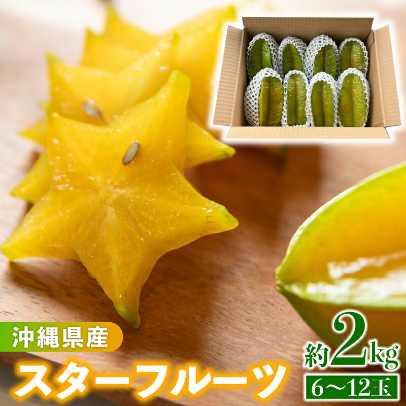 沖縄県産 スターフルーツ約2kg(6～12玉) - 果物 フルーツ 南国 スターフルーツ 五歛子 厳選 沖縄県 八重瀬町