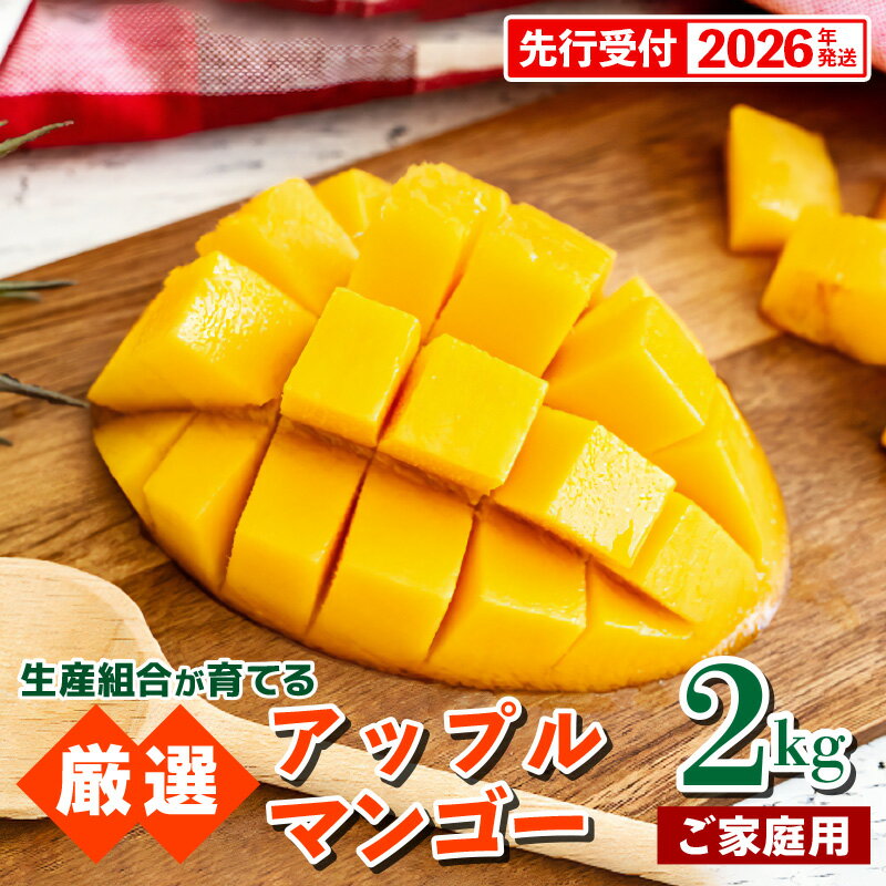 【先行受付】【2026年発送】生産組合が育てるアップルマンゴー約2kg（家庭用）- 先行予約 沖縄県産 産地直送 南国フルーツ 旬の味覚 季節の果物 ご自宅用 沖縄マンゴー 沖縄県 八重瀬町