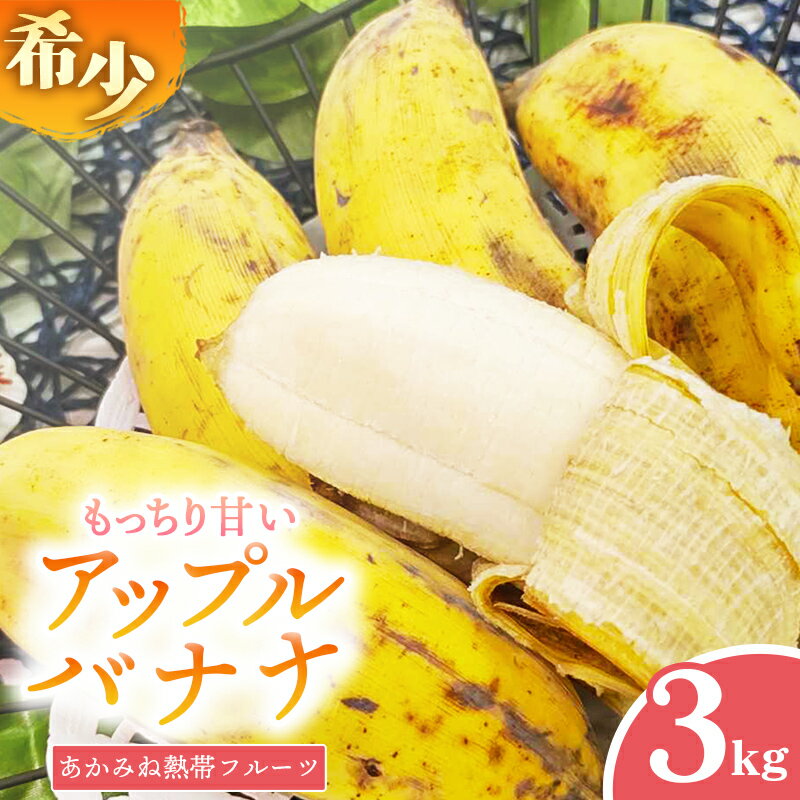 【希少栽培種】あかみね熱帯フルーツのアップルバナナ約3kg - 国産 希少種 フレッシュ 小ぶり 食べやすい おすすめ 沖縄県 八重瀬町