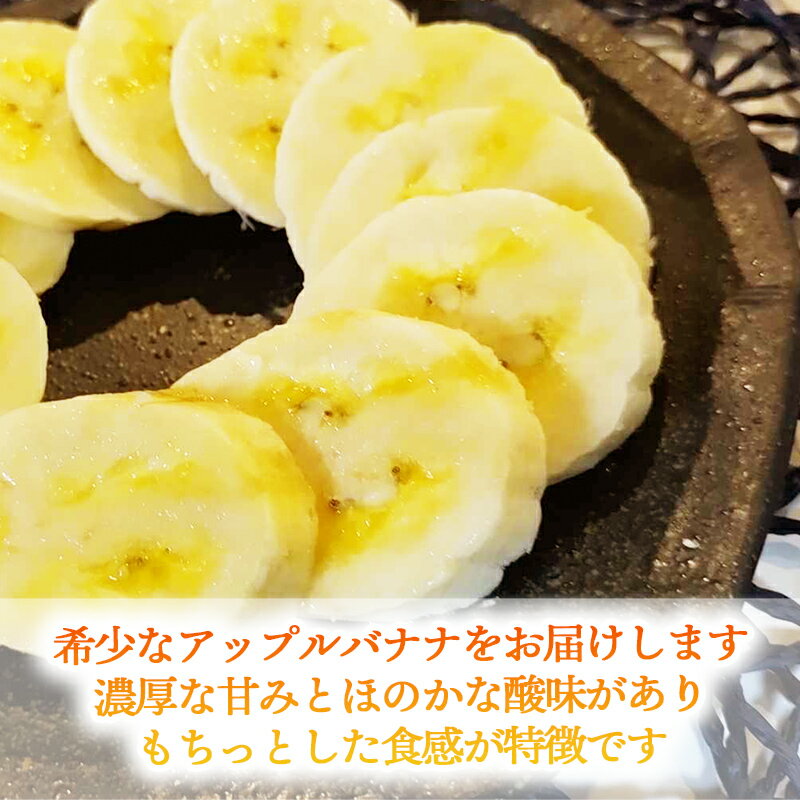 【ふるさと納税】【希少栽培種】あかみね熱帯フルーツのアップルバナナ約3kg - 国産 希少種 フレッシュ 小ぶり 食べやすい おすすめ 沖縄県 八重瀬町 サムネイル2