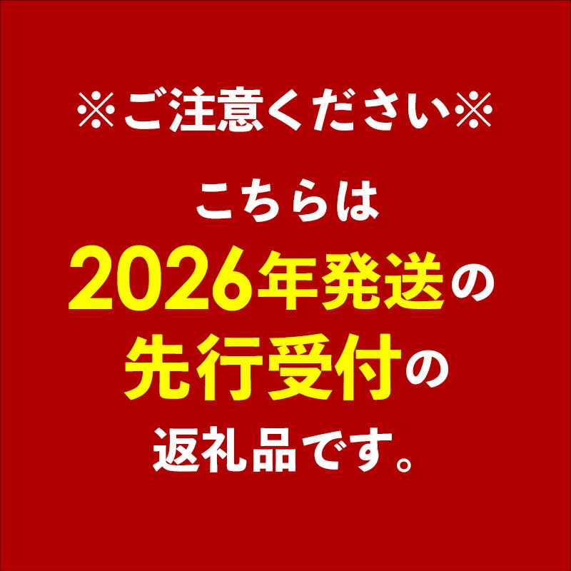 【ふるさと納税】【先行受付】【2026年発送】生産組合が育てるアップルマンゴー 訳あり品 約1.5kg - 先行予約 沖縄県産 産地直送 南国フルーツ 旬の味覚 季節の果物 ご自宅用 家庭用 沖縄県 八重瀬町 サムネイル2