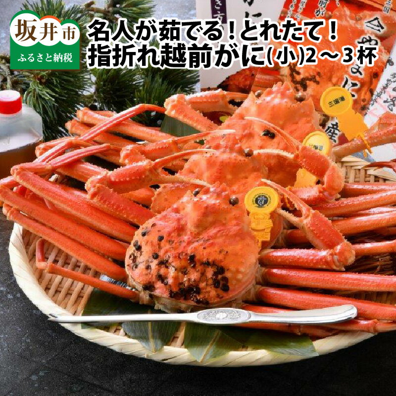 【先行予約】名人が茹でる とれたて指折れ越前がに(小) 2〜3杯 越前ガニ ズワイガニ 蟹 かに カニ 傷 足折れ 国産 県産 訳あり 訳アリ【2025年11月〜2026年3月発送】
