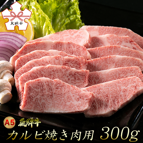 A5飛騨牛カルビ焼肉用 300g(2人前) 霜降り BBQ バーベキュー 飛騨牛 牛肉 肉 黒毛和牛 希少部位 国産 厳選 ブランド牛 お取り寄せ 高級 岐阜県 大垣市