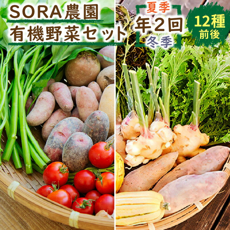 高評価★5.0 高レビュー★【有機野菜/定期便2回】京都・京丹後 SORA農園 有機野菜 セット 年2回 (夏季・冬季) お届け 12種類前後 オーガニック野菜 詰め合わせ 栽培期間中農薬不使用 ふるさと納税 オーガニック ふるさと納税 有機野菜