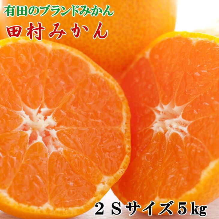 【限定】 ブランドみかん 田村みかん 約 5kg 2Sサイズ 秀品 甘みと酸味のバランス 濃厚 フルーツ 柑橘 果物 果実 温州みかん 有田みかん 高級みかん 有田 みかん 食品 国産 産地直送 お取り寄せ 和歌山県 湯浅町 送料無料