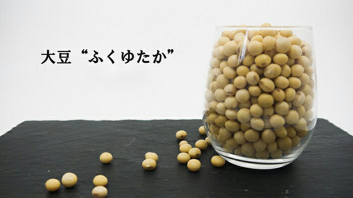 佐賀県みやき町農家岡さんちの大豆ふくゆたか3kg 国産 佐賀県産 家庭用 お取り寄せ 農家直送 送料無料(BE022)