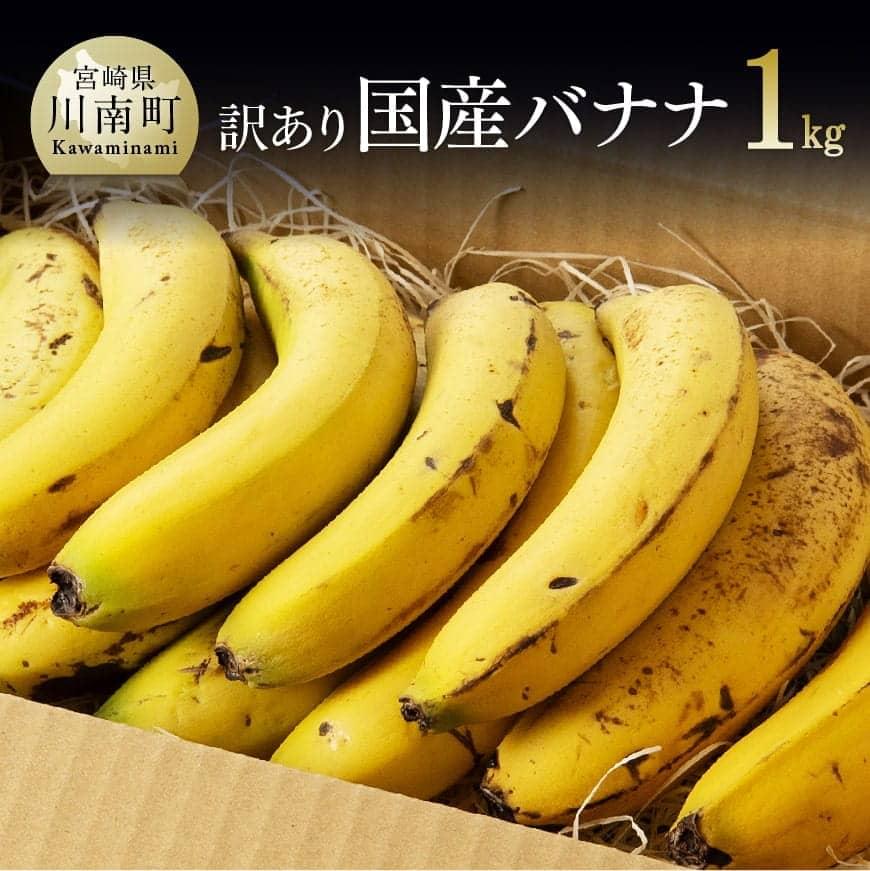 【訳あり】国産バナナ1kg ご自宅用や皮ごとスムージーにもオススメ!【国産 バナナ 無農薬 フルーツ 果物 デザート 朝食 スムージー 訳あり バナナ】F5802