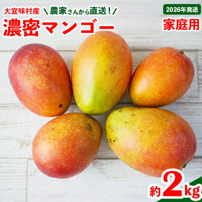 【2026年発送】ご家庭用!濃密マンゴー《家庭用・約2kg》農家さんより直送! 家庭用 先行予約 沖縄 甘味 糖度 濃厚 おいしい お土産 まんごー アーウィン 果物 くだもの 果実 送料無料 ふるさと納税 2キロ トロピカル 箱入り 食べ物 フルーツ