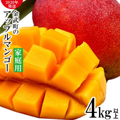 【2026年発送】農家さん直送!アップルマンゴー4kg以上 家庭用 アーウィン 果物 甘い 夏 濃厚 ギフト Mango ランキング 完熟 お気に入り 収穫 人気 甘味 フルーツ 沖縄県 先行予約 食品 デザート 産地直送 送料無料