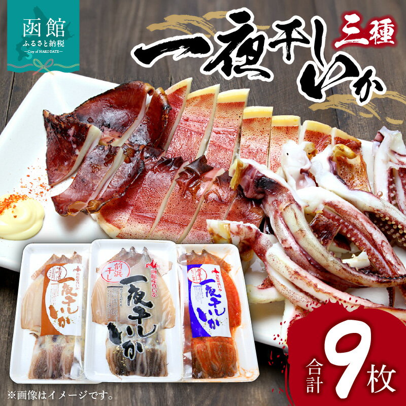 一夜干し いか 3種 × 各3枚 計9枚 セット 函館産 夏いか 前浜干し 味噌漬 唐辛子 冷凍 冷風乾燥 おつまみ 炙って 醤油 マヨネーズ バター炒め 磯辺揚げ 大根と煮て 味噌炒め マリネ 竜田揚げ 魚介 水産 加工品 お取り寄せ 北海道 函館 イチヨ水産 送料無料