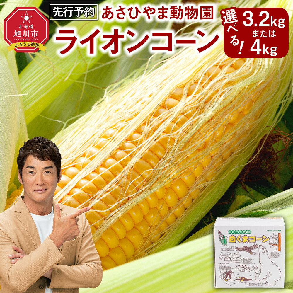 【26年発送先行予約/容量選択可能】あさひやま動物園ライオンコーン約3.2kg~4kg(ゴールドラッシュ8~10本) 2026年8月下旬から発送開始予定 _00307 | とうもろこし ゴールドラッシュ ライオンコーン 旭川市