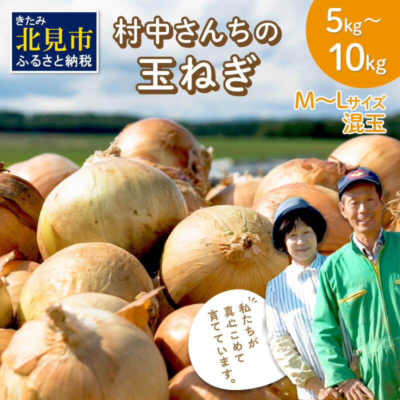 \11/10まで!/【予約:2025年9月中旬から順次発送】農家直送 村中さんちの玉ねぎ 5kg 10kg 混玉 M~Lサイズ ( タマネギ たまねぎ 玉葱 野菜 北海道産 詰合せ )