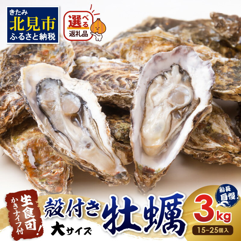 【お歳暮】【予約:2025年10月下旬から順次発送】サロマ湖自慢の殻付きカキ貝 大 3kg詰め ( 牡蠣 かき 濃厚 大きい 魚介類 貝類 殻付 殻付き牡蠣 BBQ バーベキュー )