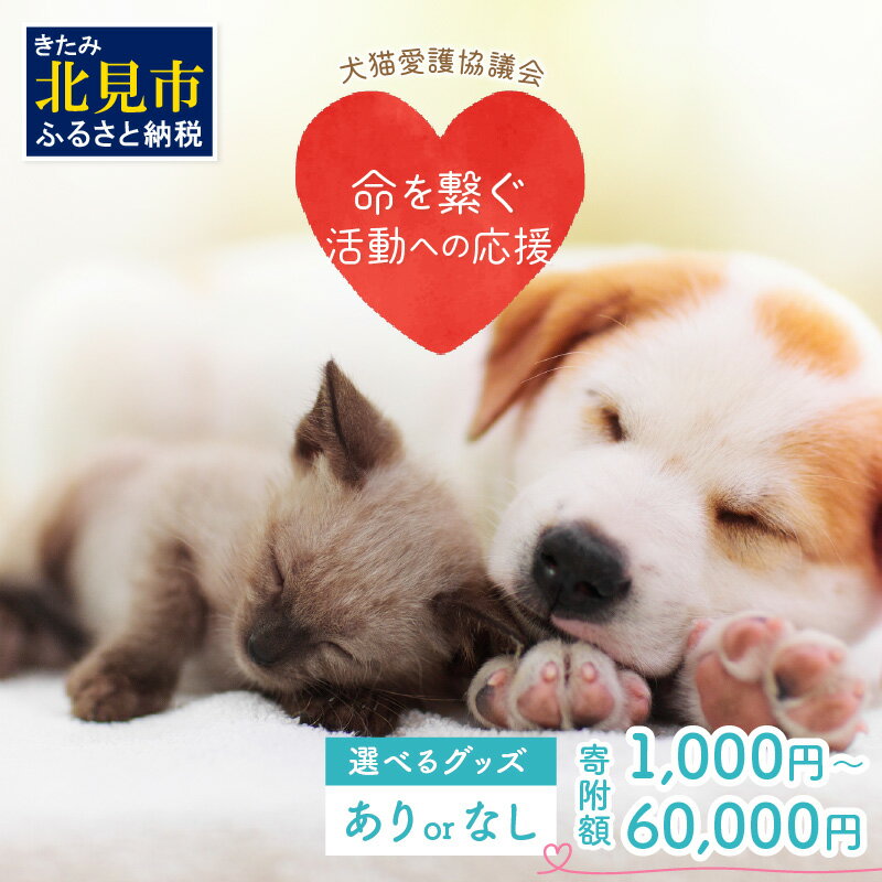 【犬猫等愛護活動、命を繋ぐ活動への応援】《選べる返礼品なし・あり》北見市犬猫愛護協議会グッズ ( ふるさと納税 1000円 いぬ ねこ 保護 地域猫 雑貨 文房具 セット 動物愛護 愛護 )