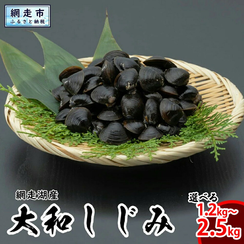 網走湖産 天然大粒 大和しじみ 選べる 1.2kg 2kg 2.5kg ※着日指定不可 【 ふるさと納税 人気 おすすめ ランキング しじみ シジミ 蜆 大和しじみ 貝 魚貝類 網走湖産 砂抜き済 冷凍 味噌汁 大粒 天然 オホーツク 北海道 網走市 送料無料 】 ABX033