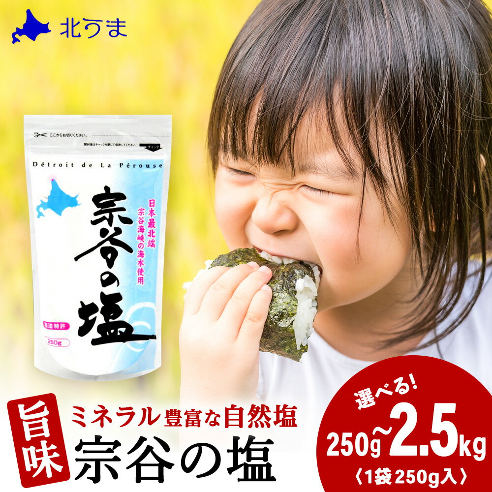 宗谷の塩 選べる250g〜2.5kg 1袋250g宗谷の塩 しお 塩 ミネラル にがり 自然塩 ナチュラル 調味料 北海道ふるさと納税 稚内 【配送不可地域:離島・沖縄県】