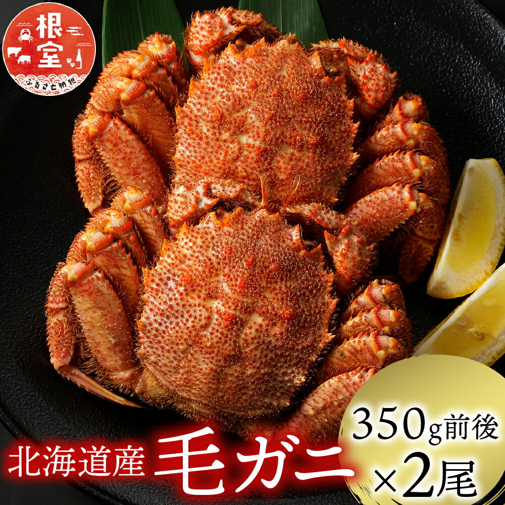 <年内配送可> 浜ゆで 毛がに 350g 前後 × 2 尾 毛ガニ 毛蟹 けがに ケガニ かに カニ 蟹 お取り寄せ グルメ 海鮮 ボイル 茹で蟹 茹でがに 茹でガニ 浜茹で 北海道 根室市 ふるさと納税 A-21001
